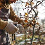 Featured image placeholder 16:9